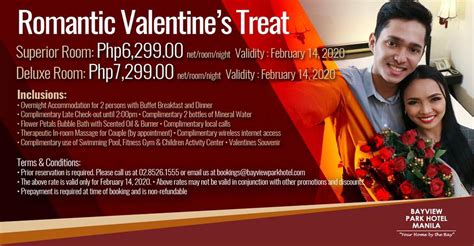 bayview park hotel promo.